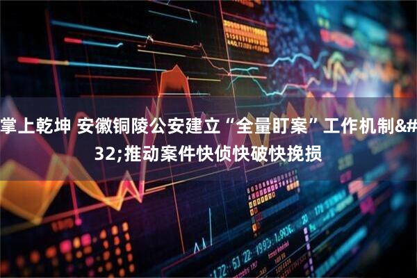 掌上乾坤 安徽铜陵公安建立“全量盯案”工作机制 推动案件快侦快破快挽损