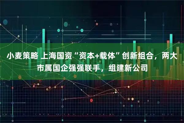 小麦策略 上海国资“资本+载体”创新组合，两大市属国企强强联手，组建新公司