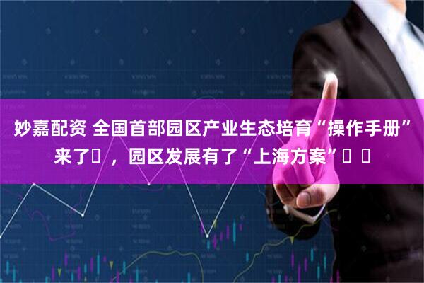 妙嘉配资 全国首部园区产业生态培育“操作手册”来了​，园区发展有了“上海方案”​​