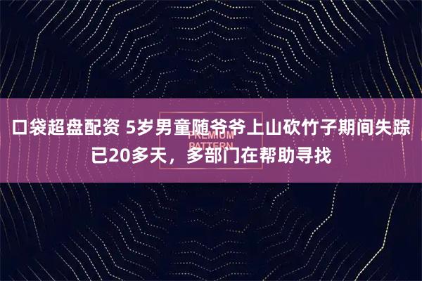 口袋超盘配资 5岁男童随爷爷上山砍竹子期间失踪已20多天，多部门在帮助寻找
