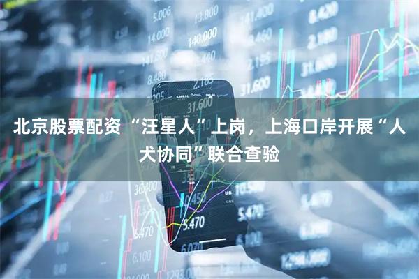 北京股票配资 “汪星人”上岗，上海口岸开展“人犬协同”联合查验