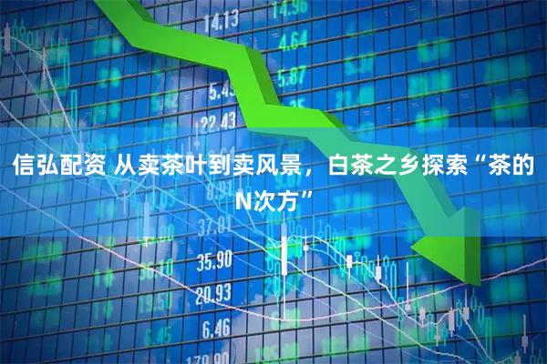 信弘配资 从卖茶叶到卖风景,白茶之乡探索“茶的N次方”