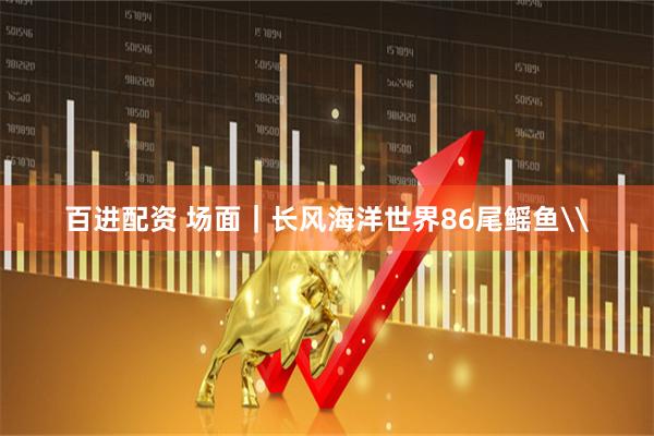 百进配资 场面｜长风海洋世界86尾鳐鱼\