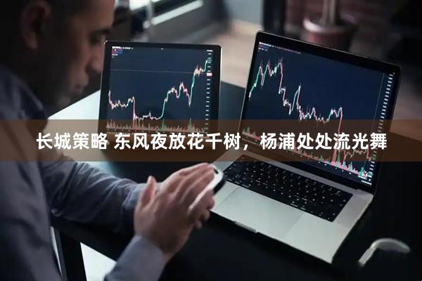 长城策略 东风夜放花千树，杨浦处处流光舞