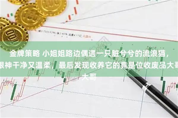 金牌策略 小姐姐路边偶遇一只脏兮兮的流浪猫，眼神干净又温柔，最后发现收养它的竟是位收废品大哥