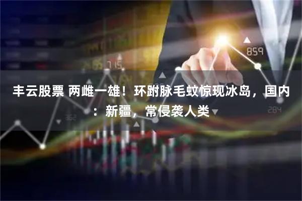 丰云股票 两雌一雄！环跗脉毛蚊惊现冰岛，国内：新疆，常侵袭人类