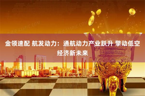 金领速配 航发动力：通航动力产业跃升 擎动低空经济新未来